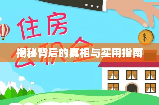 武清揭秘背后的真相与实用指南