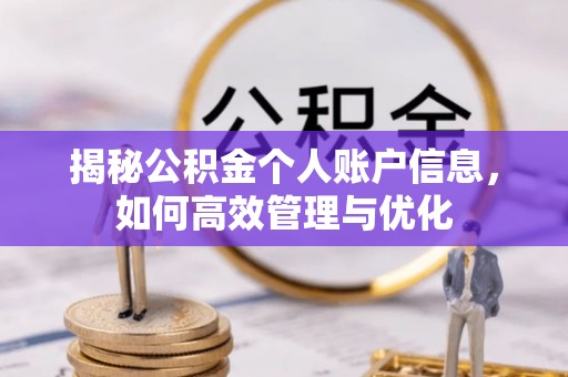 武清揭秘公积金个人账户信息，如何高效管理与优化