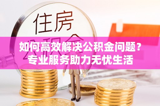 武清如何高效解决公积金问题？专业服务助力无忧生活
