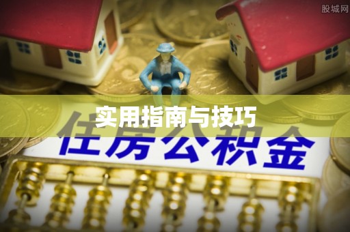 武清实用指南与技巧