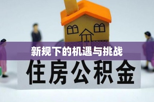 武清新规下的机遇与挑战