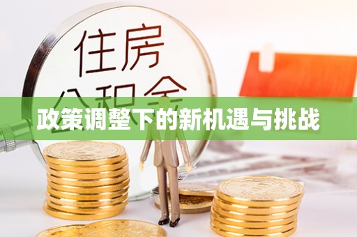 武清政策调整下的新机遇与挑战