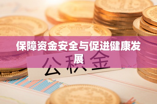 武清保障资金安全与促进健康发展