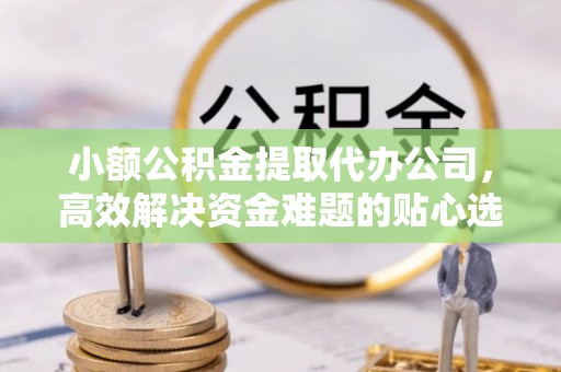 武清小额公积金提取代办公司，高效解决资金难题的贴心选择