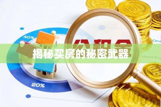 武清揭秘买房的秘密武器