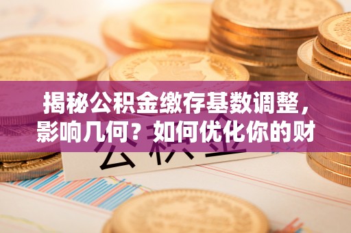 武清揭秘公积金缴存基数调整，影响几何？如何优化你的财务规划？