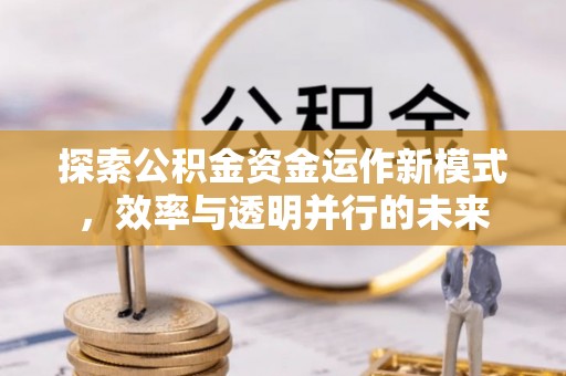武清探索公积金资金运作新模式，效率与透明并行的未来