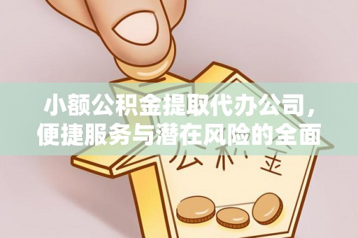 武清小额公积金提取代办公司，便捷服务与潜在风险的全面解析