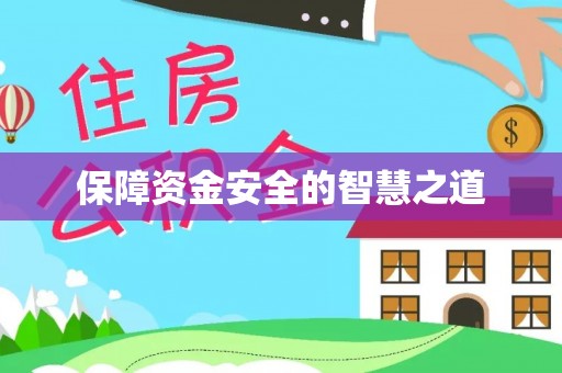 武清保障资金安全的智慧之道