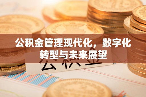 武清公积金管理现代化，数字化转型与未来展望