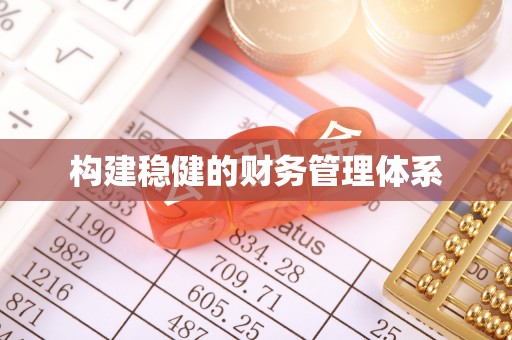 武清构建稳健的财务管理体系