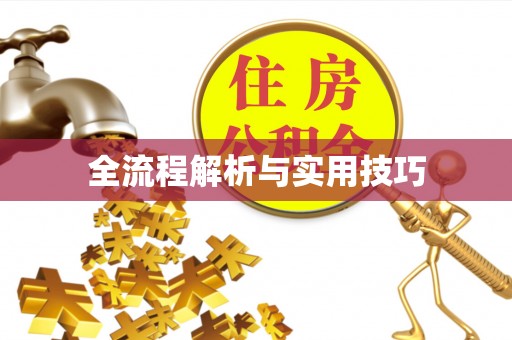 武清全流程解析与实用技巧