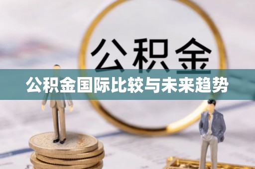 武清公积金国际比较与未来趋势