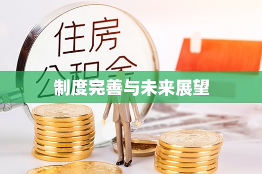 武清制度完善与未来展望