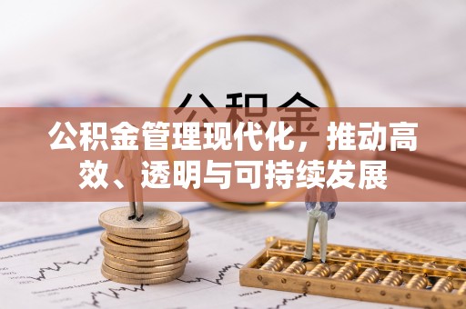 武清公积金管理现代化，推动高效、透明与可持续发展