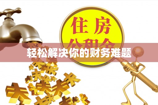 武清轻松解决你的财务难题