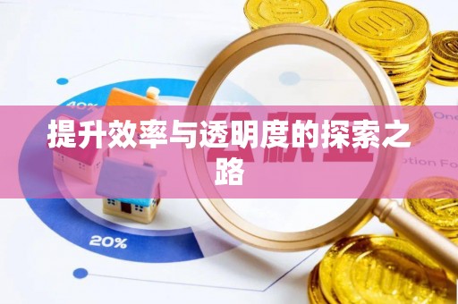 武清提升效率与透明度的探索之路