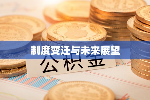 武清制度变迁与未来展望