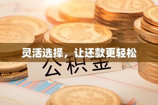 武清灵活选择，让还款更轻松