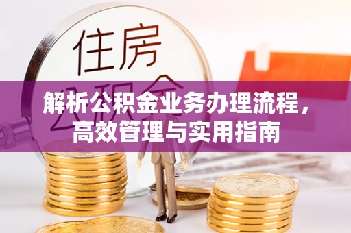 武清解析公积金业务办理流程，高效管理与实用指南