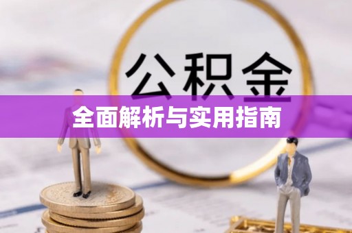 武清全面解析与实用指南