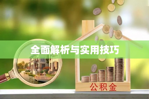 武清全面解析与实用技巧
