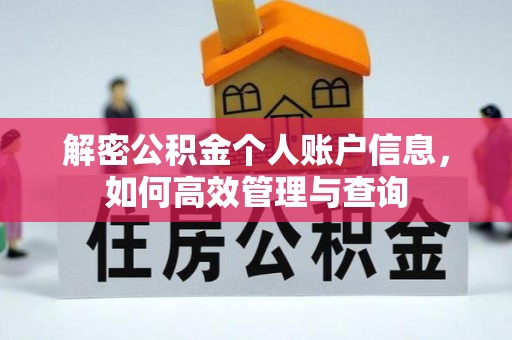 武清解密公积金个人账户信息，如何高效管理与查询