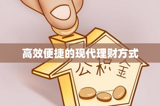 武清高效便捷的现代理财方式