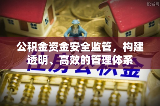 武清公积金资金安全监管，构建透明、高效的管理体系