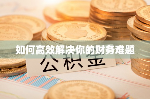 武清如何高效解决你的财务难题
