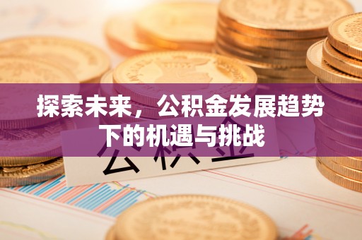 武清探索未来，公积金发展趋势下的机遇与挑战