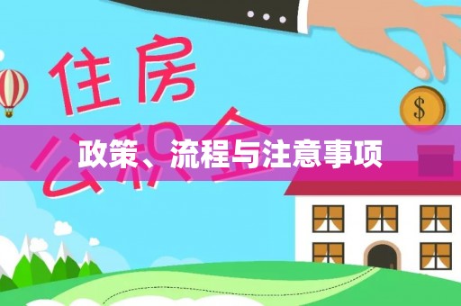 武清政策、流程与注意事项