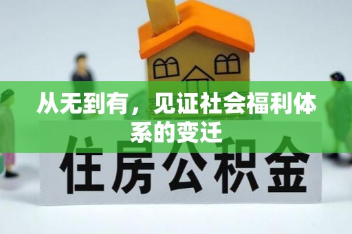 武清从无到有，见证社会福利体系的变迁