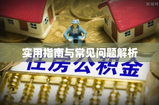武清实用指南与常见问题解析