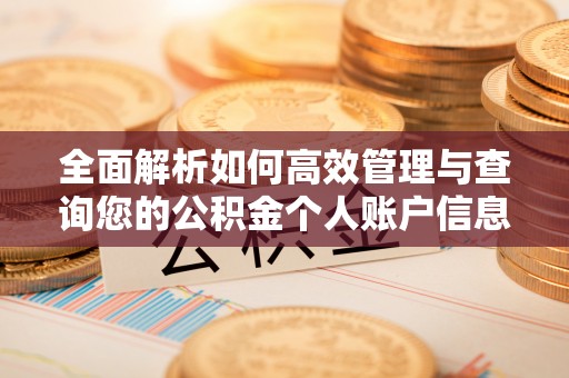 武清全面解析如何高效管理与查询您的公积金个人账户信息