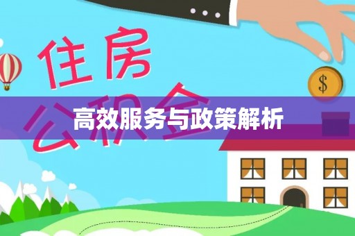 武清高效服务与政策解析