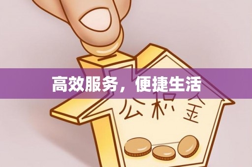 武清高效服务，便捷生活