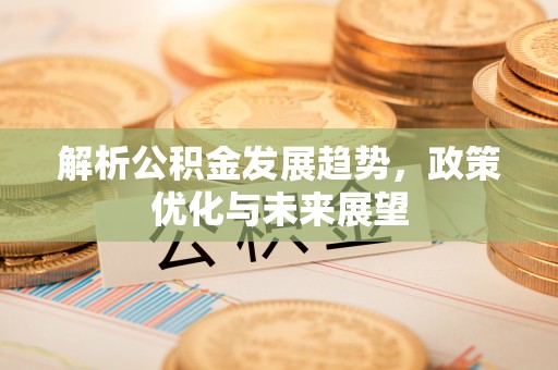 武清解析公积金发展趋势，政策优化与未来展望