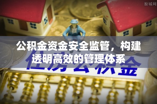 武清公积金资金安全监管，构建透明高效的管理体系