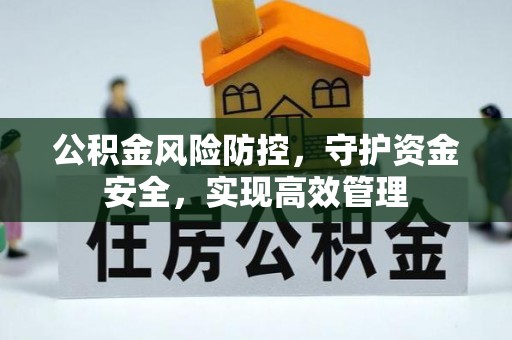 武清公积金风险防控，守护资金安全，实现高效管理