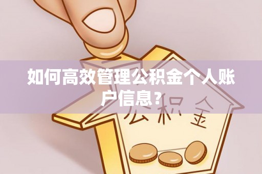 武清如何高效管理公积金个人账户信息？