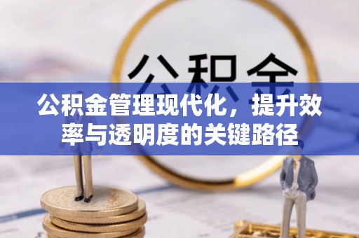 武清公积金管理现代化，提升效率与透明度的关键路径