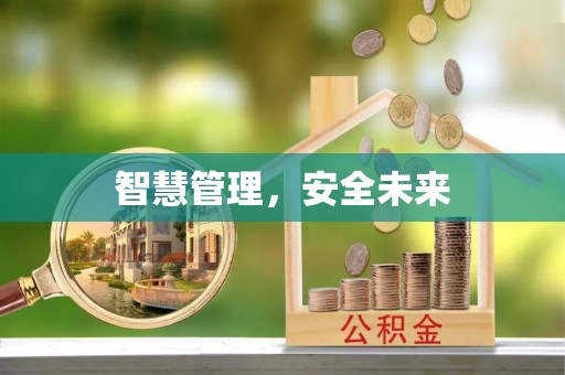武清智慧管理，安全未来