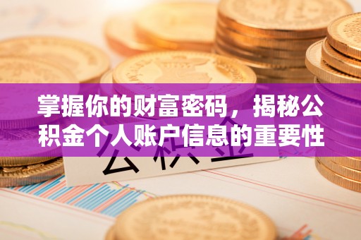 武清掌握你的财富密码，揭秘公积金个人账户信息的重要性