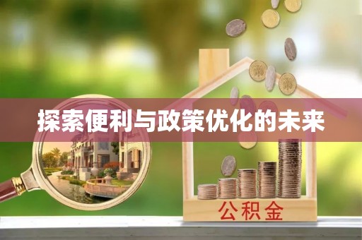 武清探索便利与政策优化的未来
