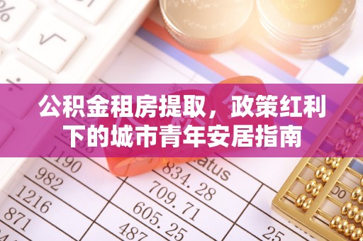 武清公积金租房提取，政策红利下的城市青年安居指南