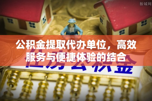 武清公积金提取代办单位，高效服务与便捷体验的结合