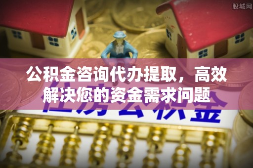 武清公积金咨询代办提取，高效解决您的资金需求问题