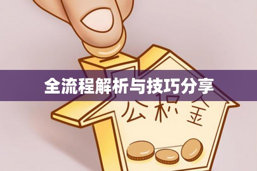 武清全流程解析与技巧分享