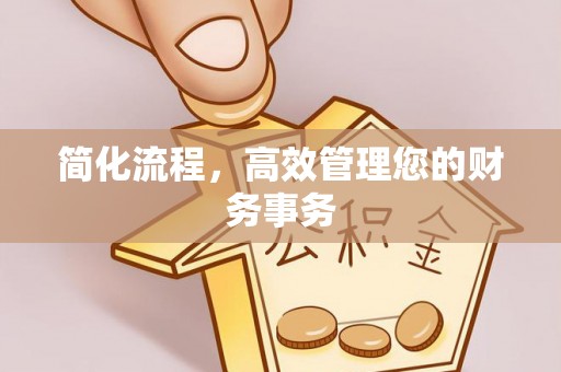 武清简化流程，高效管理您的财务事务